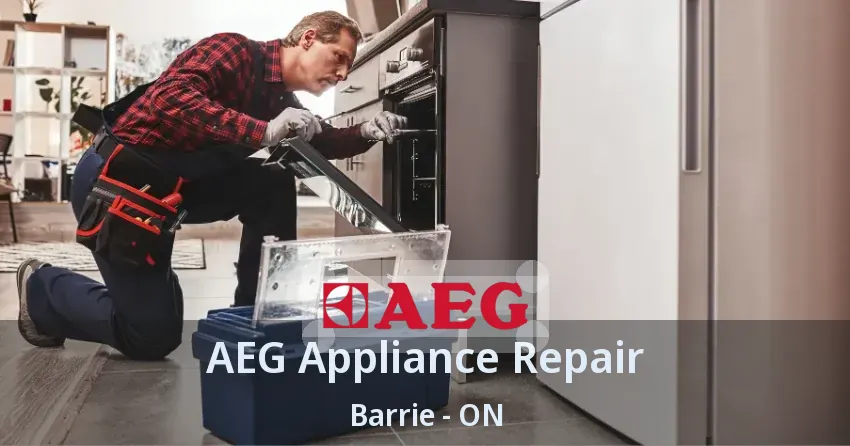 AEG Appliance Repair Barrie - ON