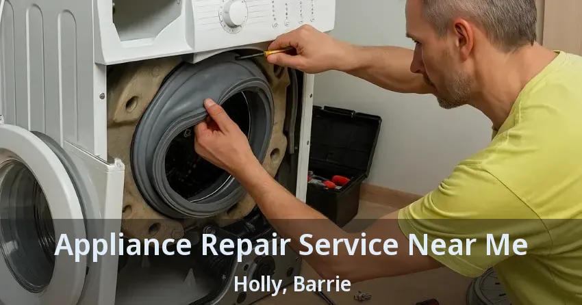 Appliance Repair Service Near Me Holly, Barrie - ON