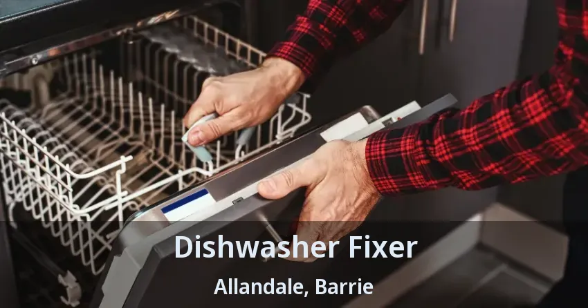 Dishwasher Fixer Allandale, Barrie - ON