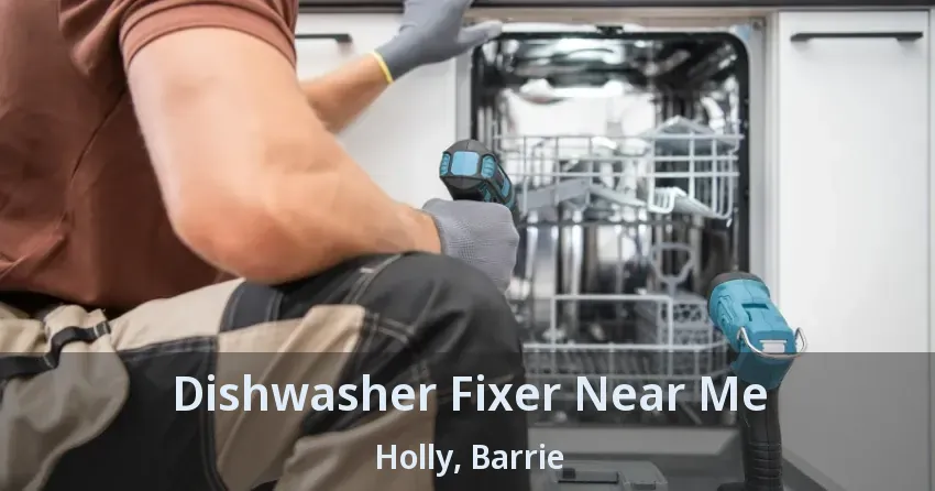Dishwasher Fixer Near Me Holly, Barrie - ON