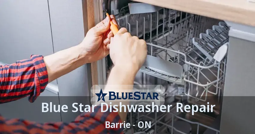Blue Star Dishwasher Repair Barrie - ON