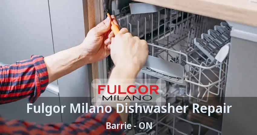 Fulgor Milano Dishwasher Repair Barrie - ON