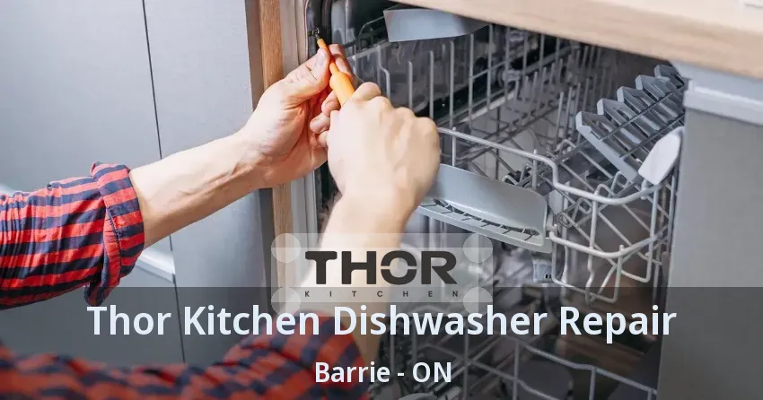Thor Kitchen Dishwasher Repair Barrie - ON