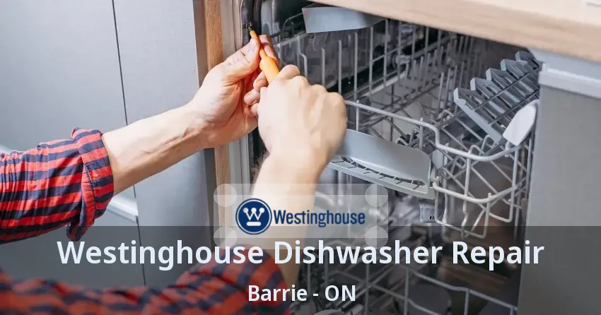 Westinghouse Dishwasher Repair Barrie - ON