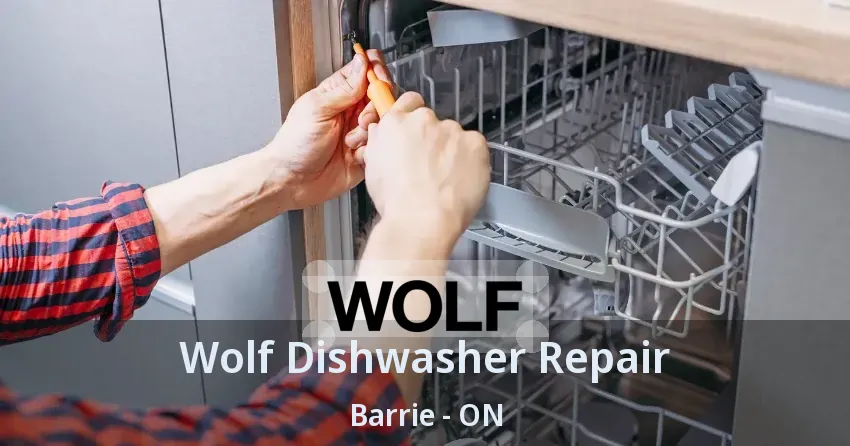 Wolf Dishwasher Repair Barrie - ON