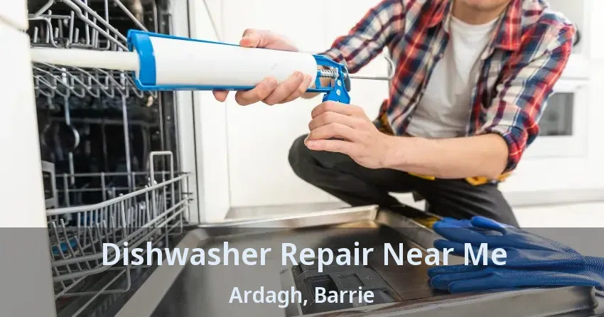 Dishwasher Repair Near Me Ardagh, Barrie - ON