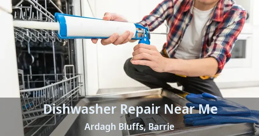 Dishwasher Repair Near Me Ardagh Bluffs, Barrie - ON