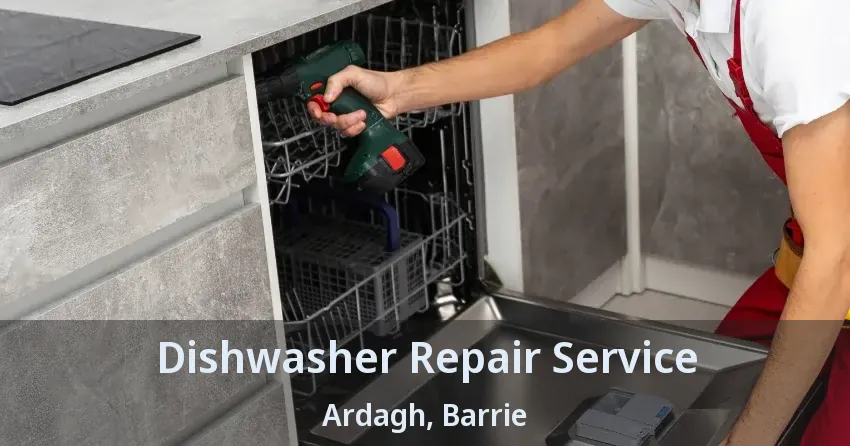 Dishwasher Repair Service Ardagh, Barrie - ON