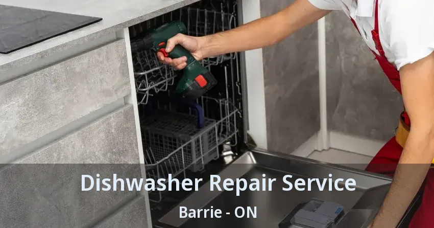 Dishwasher Repair Service Barrie - ON