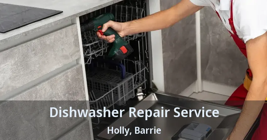 Dishwasher Repair Service Holly, Barrie - ON