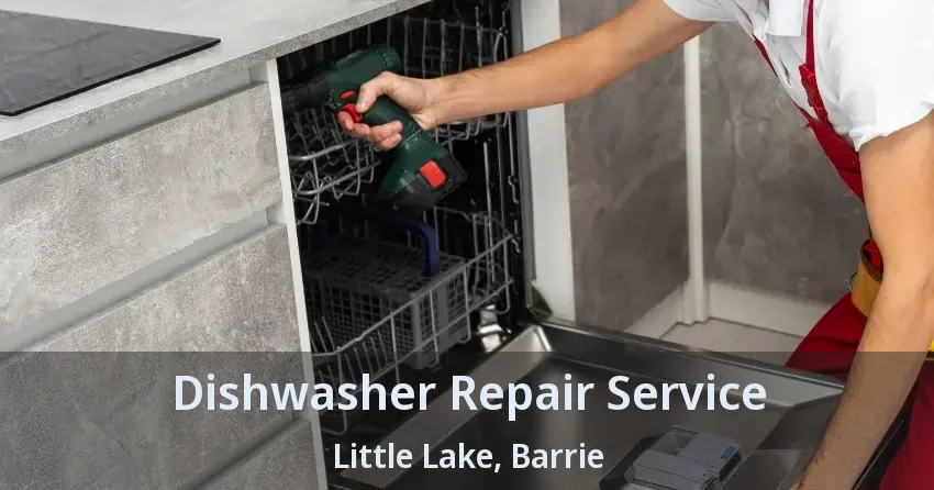 Dishwasher Repair Service Little Lake, Barrie - ON