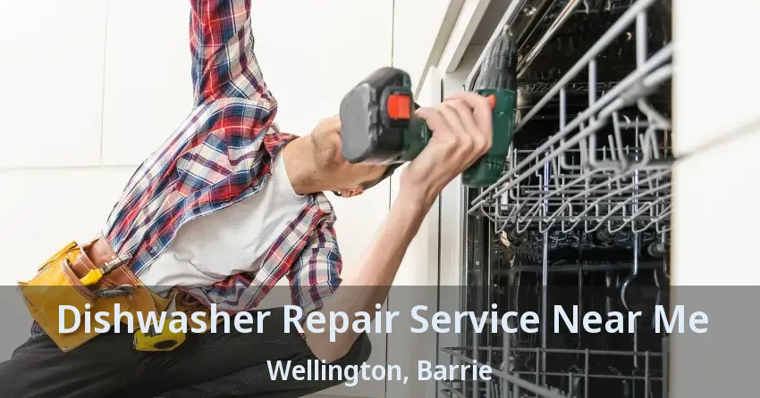 Dishwasher Repair Service Near Me Wellington, Barrie - ON