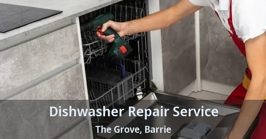 Dishwasher Repair Service The Grove, Barrie - ON