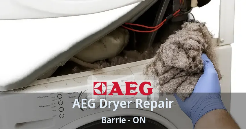 AEG Dryer Repair Barrie - ON