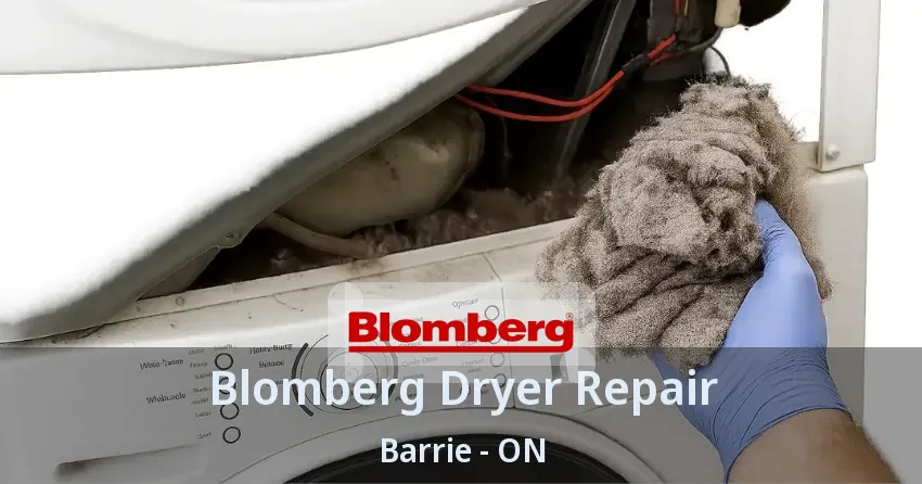 Blomberg Dryer Repair Barrie - ON