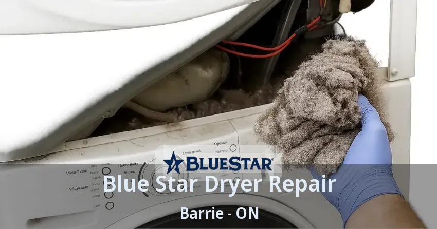 Blue Star Dryer Repair Barrie - ON