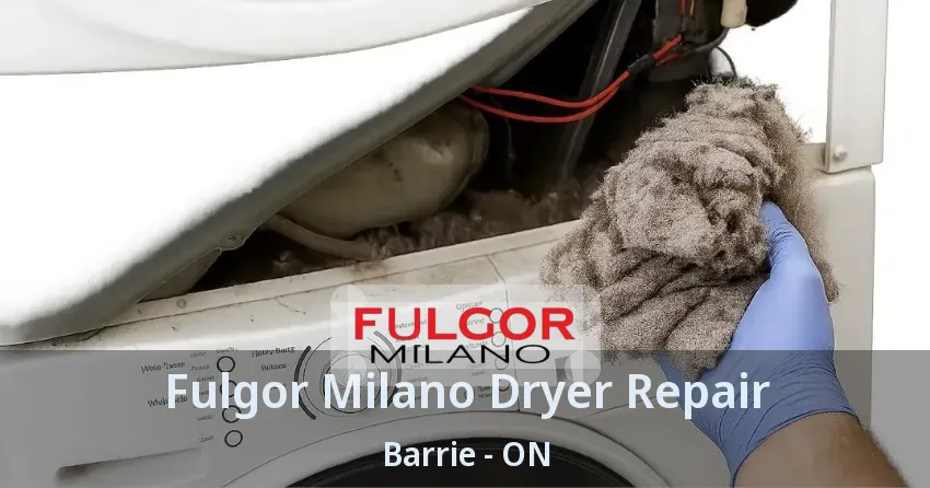 Fulgor Milano Dryer Repair Barrie - ON