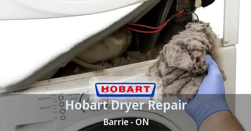 Hobart Dryer Repair Barrie - ON