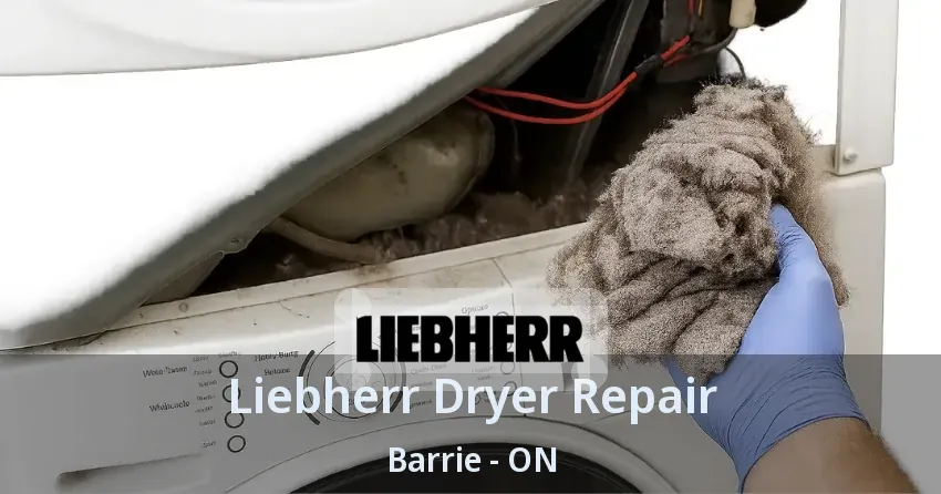 Liebherr Dryer Repair Barrie - ON