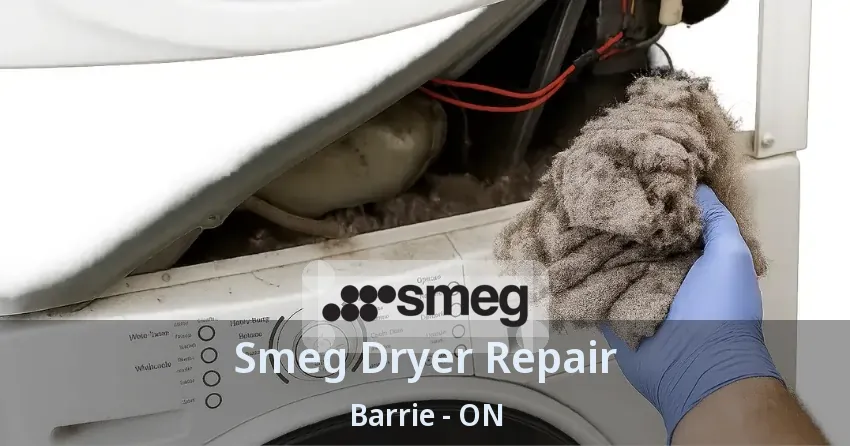 Smeg Dryer Repair Barrie - ON