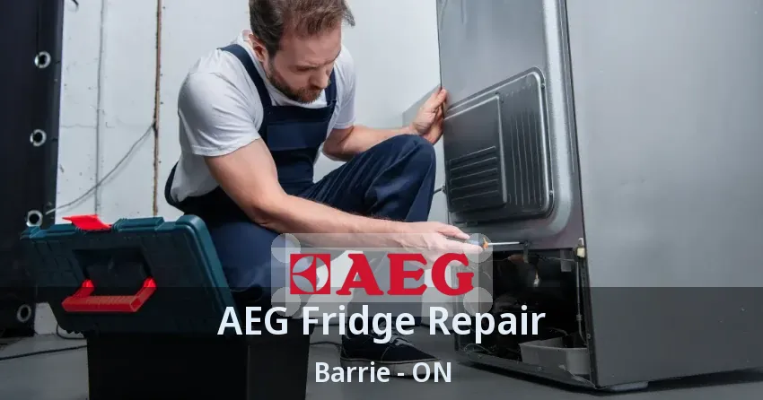 AEG Fridge Repair Barrie - ON