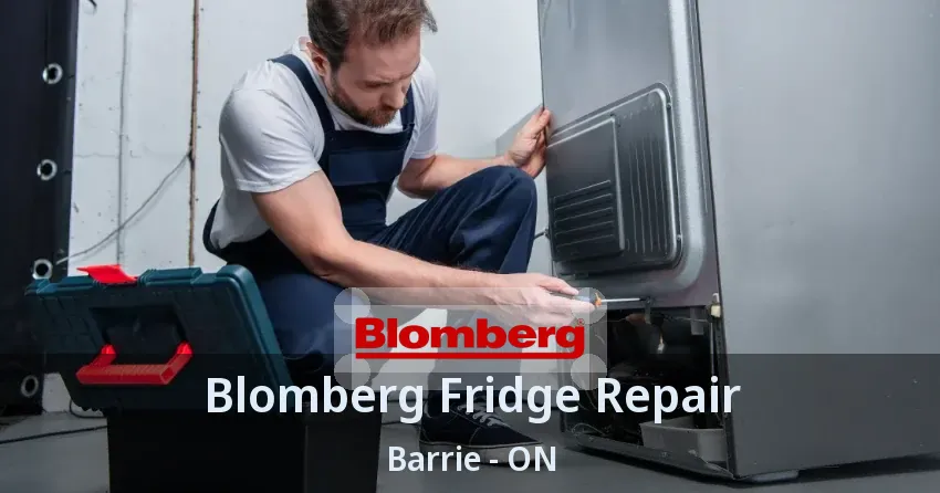 Blomberg Fridge Repair Barrie - ON