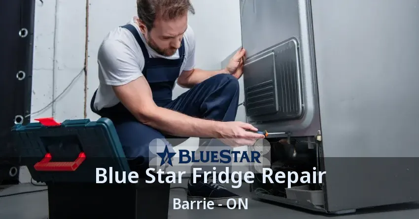 Blue Star Fridge Repair Barrie - ON