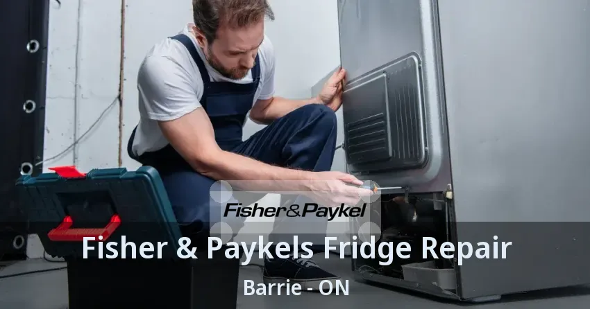 Fisher & Paykels Fridge Repair Barrie - ON