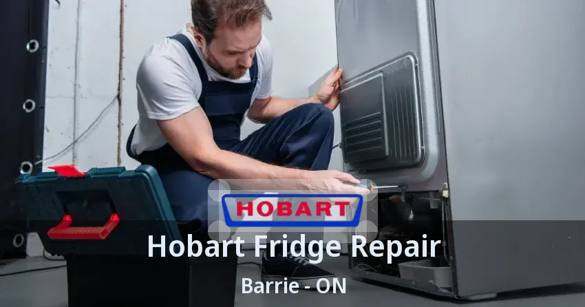 Hobart Fridge Repair Barrie - ON