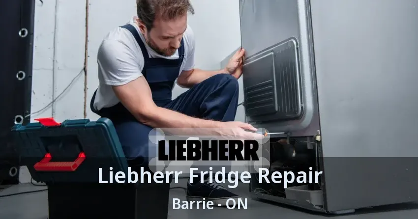 Liebherr Fridge Repair Barrie - ON