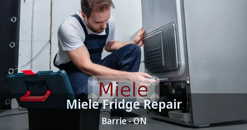 Miele Fridge Repair Barrie - ON
