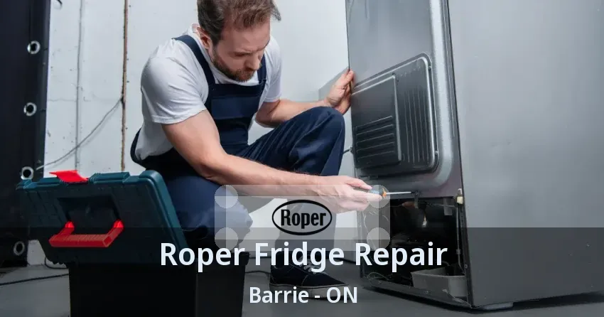 Roper Fridge Repair Barrie - ON