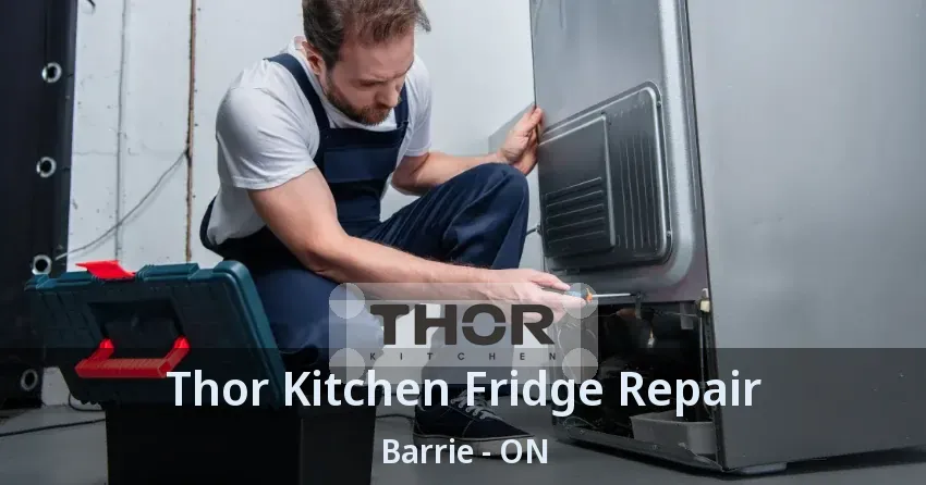 Thor Kitchen Fridge Repair Barrie - ON