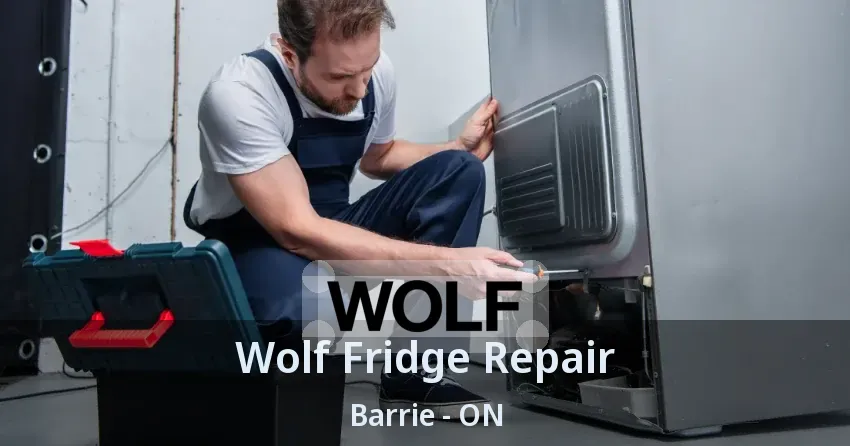 Wolf Fridge Repair Barrie - ON