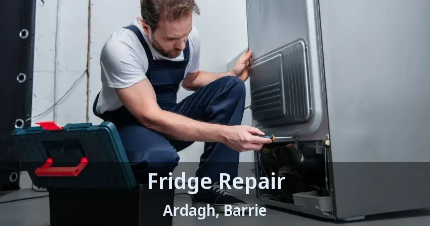 Fridge Repair Ardagh, Barrie - ON