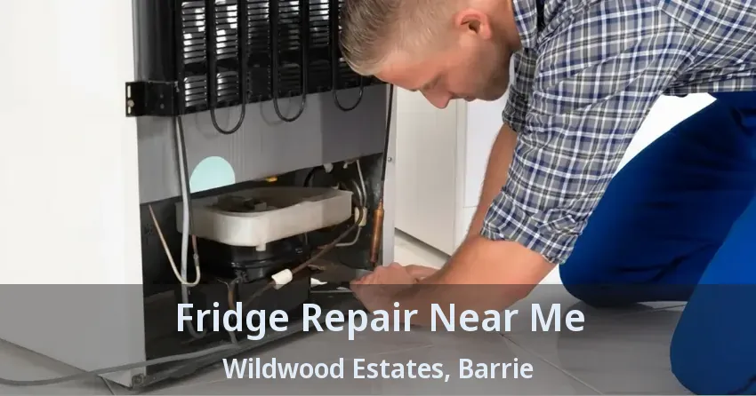 Fridge Repair Near Me Wildwood Estates, Barrie - ON