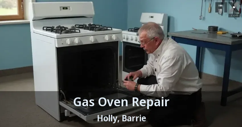 Gas Oven Repair Holly, Barrie - ON