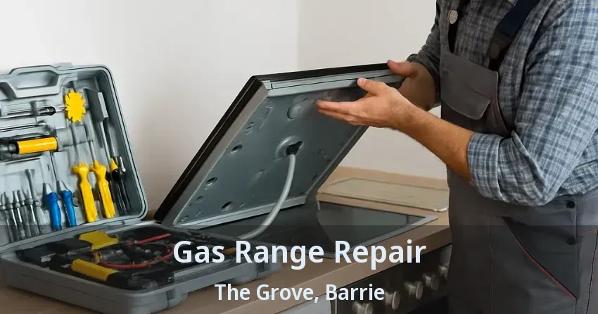 Gas Range Repair The Grove, Barrie - ON