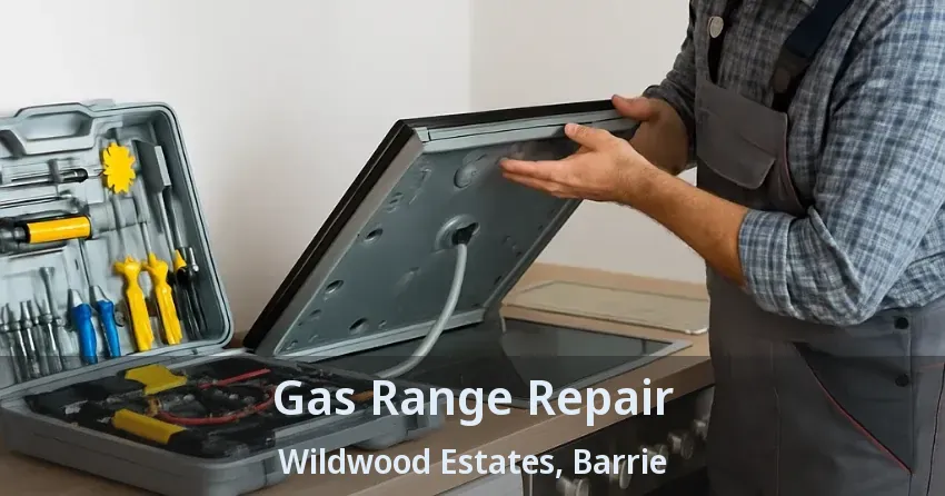 Gas Range Repair Wildwood Estates, Barrie - ON