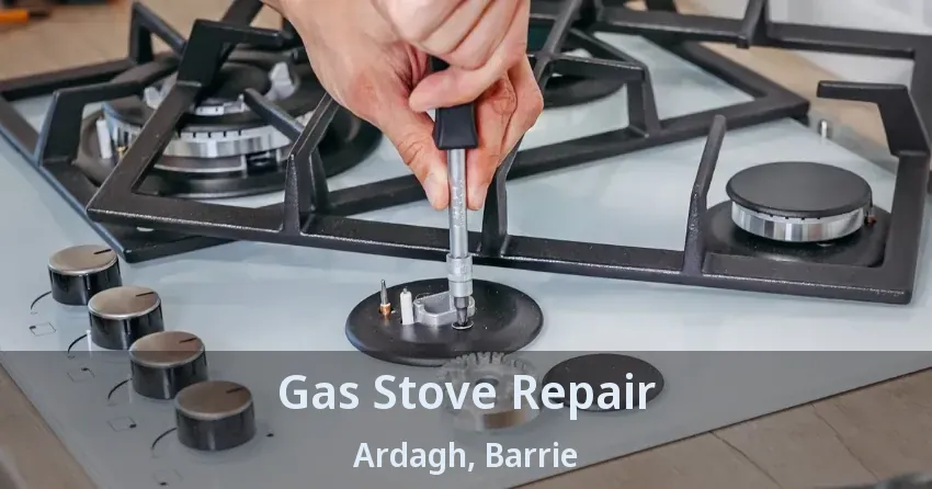 Gas Stove Repair Ardagh, Barrie - ON