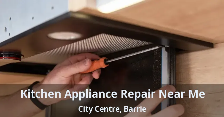 Kitchen Appliance Repair Near Me City Centre, Barrie - ON