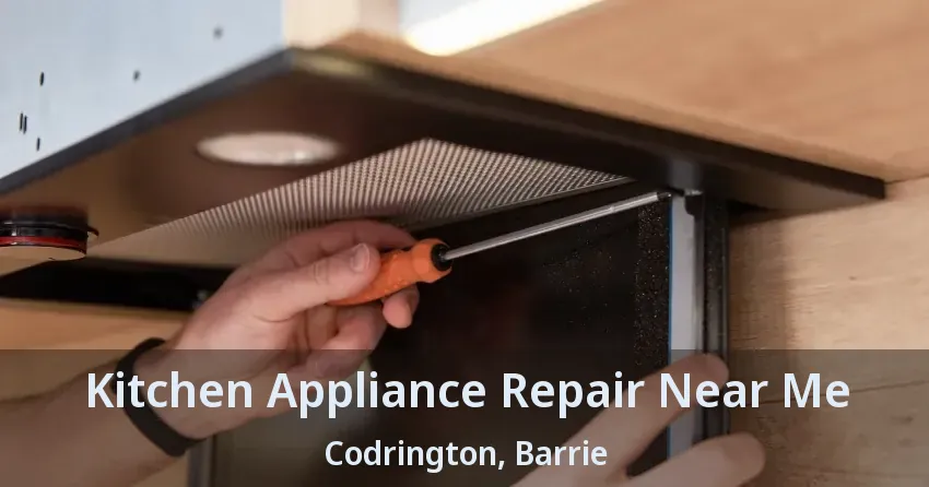 Kitchen Appliance Repair Near Me Codrington, Barrie - ON
