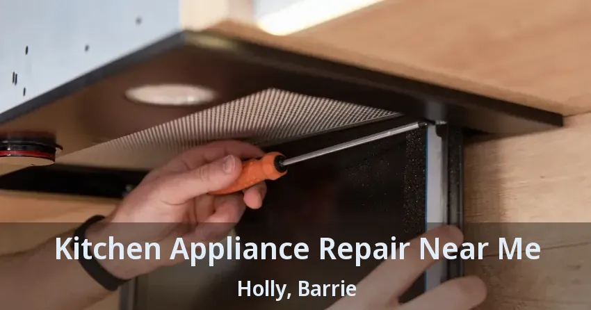Kitchen Appliance Repair Near Me Holly, Barrie - ON