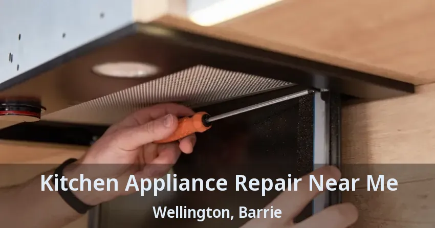 Kitchen Appliance Repair Near Me Wellington, Barrie - ON