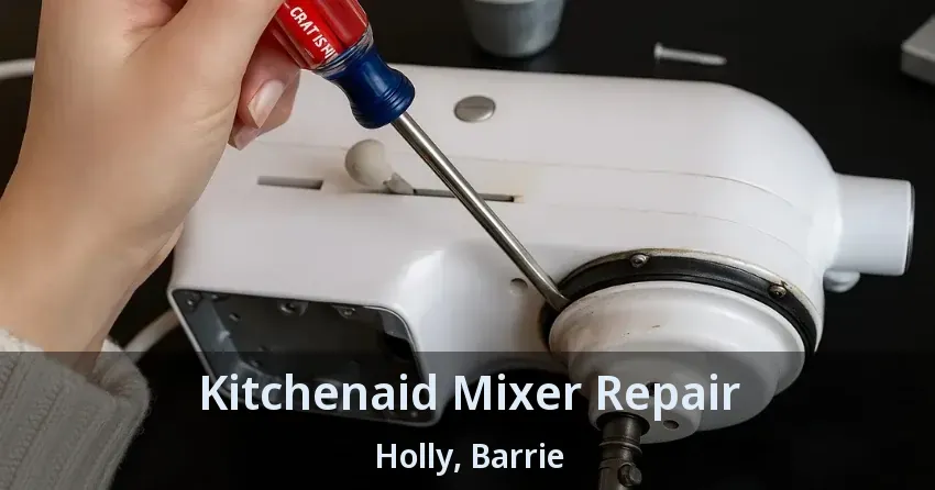 Kitchenaid Mixer Repair Holly, Barrie - ON