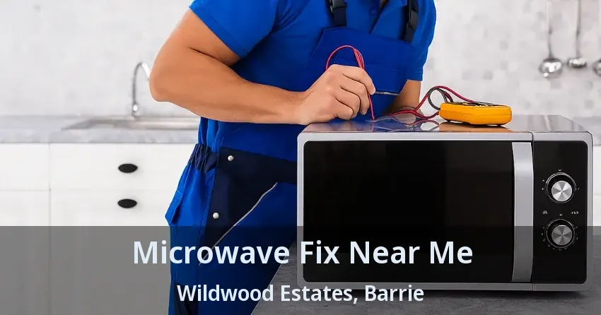 Microwave Fix Near Me Wildwood Estates, Barrie - ON
