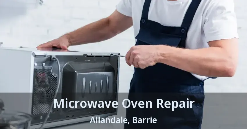 Microwave Oven Repair Allandale, Barrie - ON