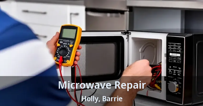 Microwave Repair Holly, Barrie - ON