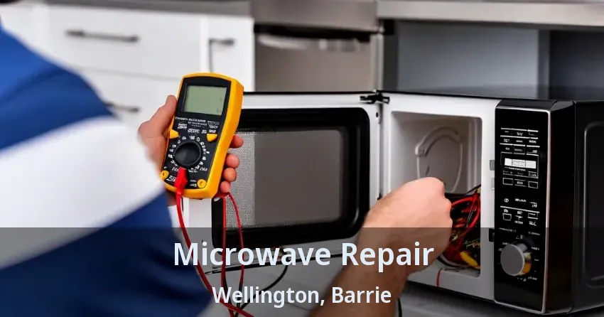 Microwave Repair Wellington, Barrie - ON