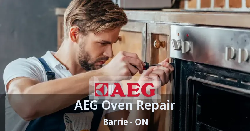 AEG Oven Repair Barrie - ON